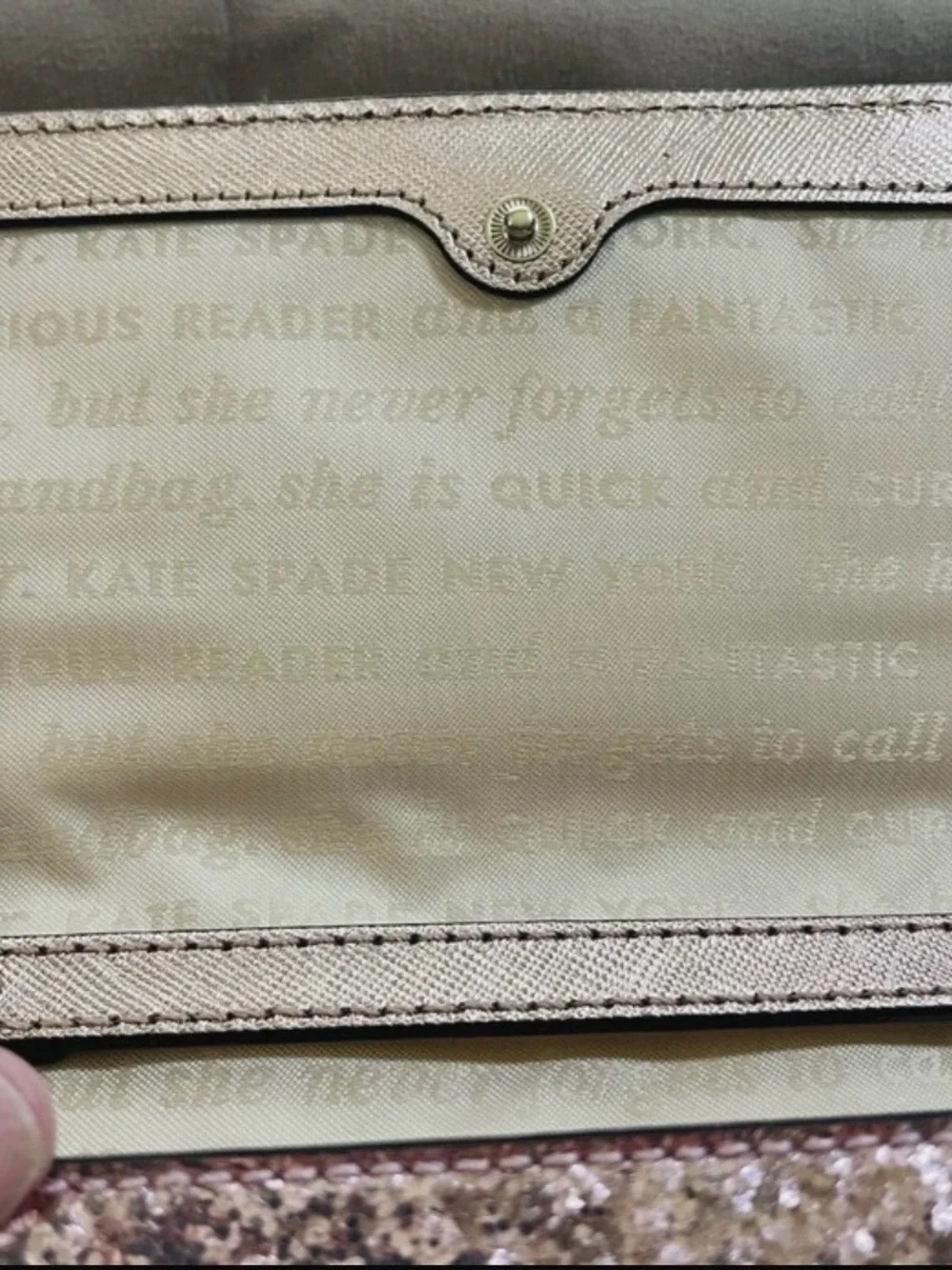 Kate Spade Glitter Bug Cami Clutch/Crossbody with Storybook Lining - NWT
